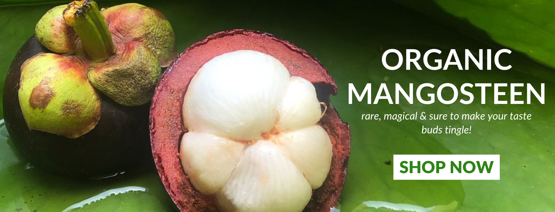 Freshindiaorganics