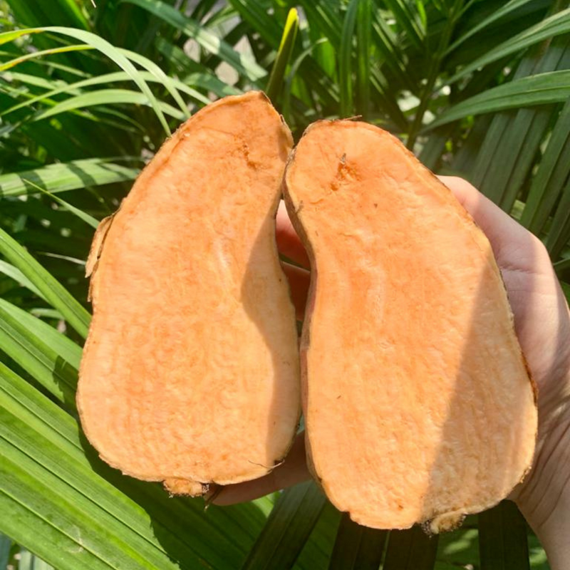 Freshindiaorganics