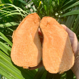 Organic Orange Sweet Potato