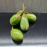 Brinjal Green