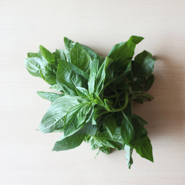 Organic Basil Freshindiaorganics