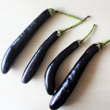 Organic Brinjal Long