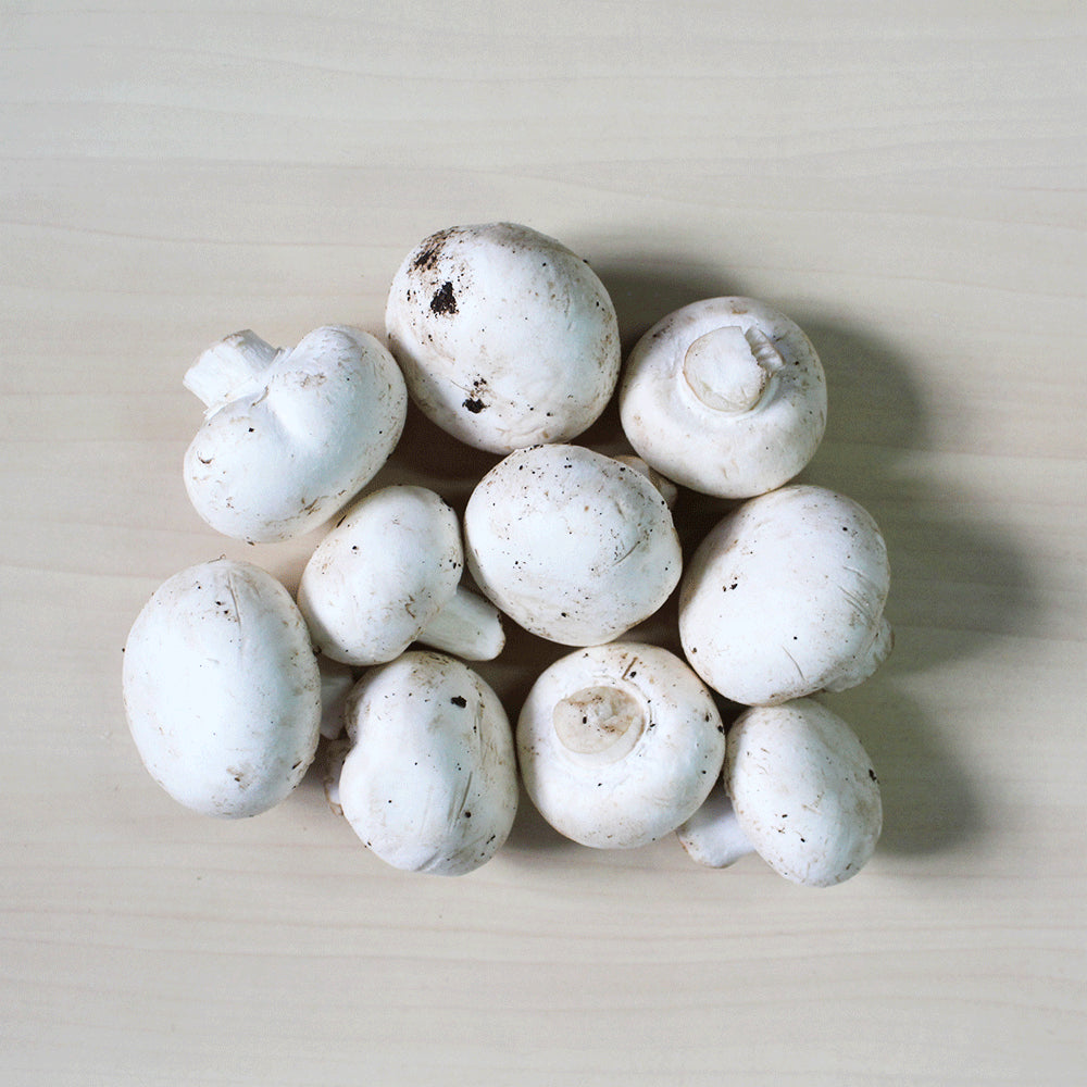Organic Mushroom