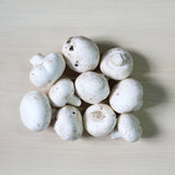 Organic Mushroom