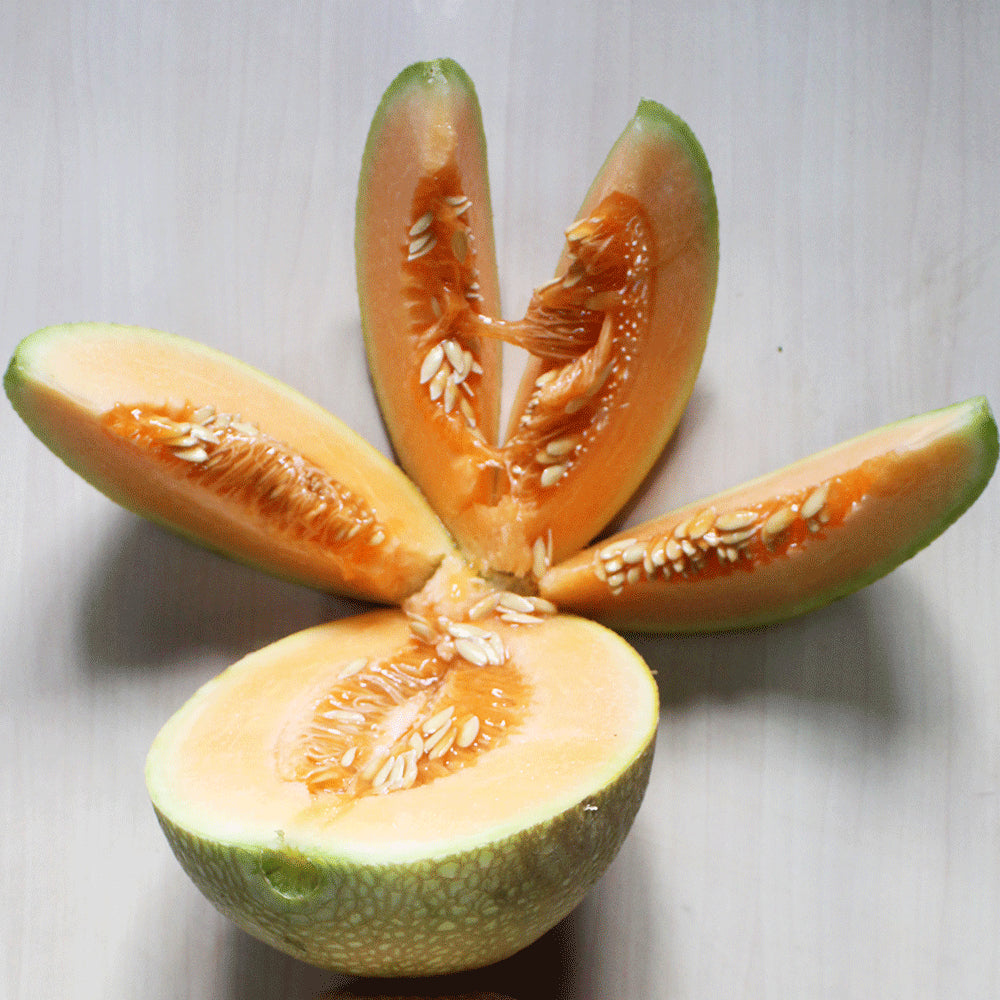 Organic Muskmelon