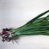 Organic Spring Onion