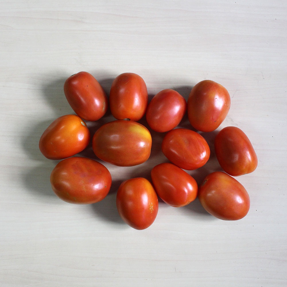 Organic Tomato Hybrid
