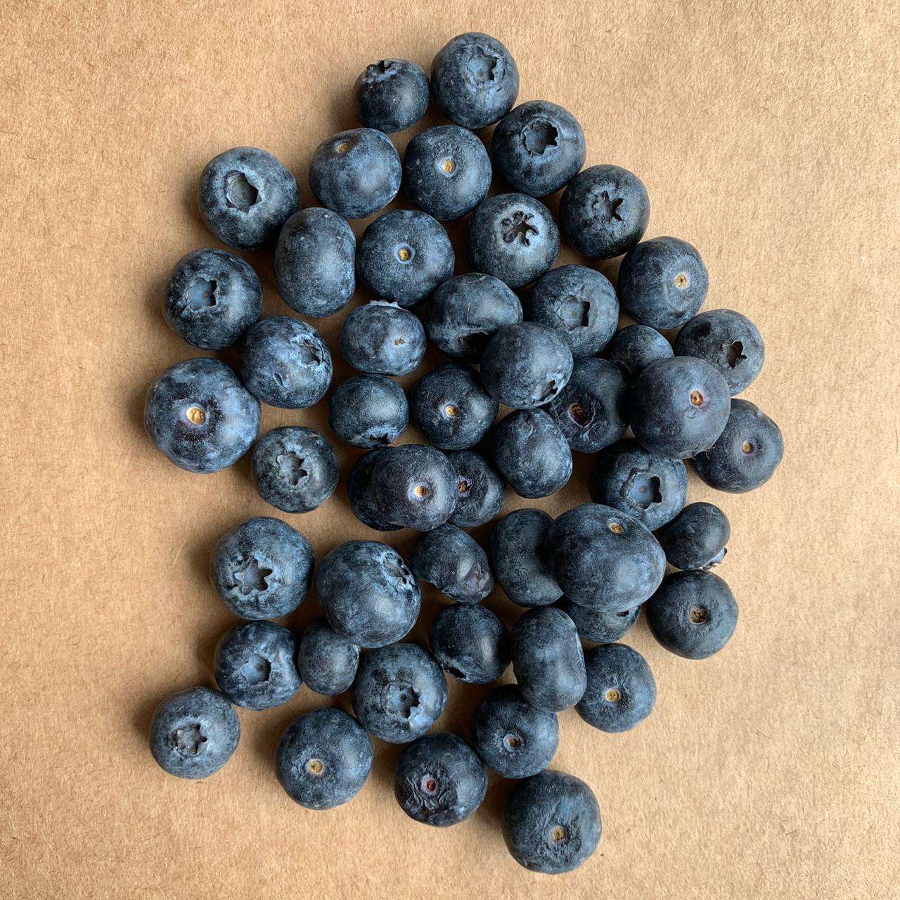 Blueberries 125 gms - Imported