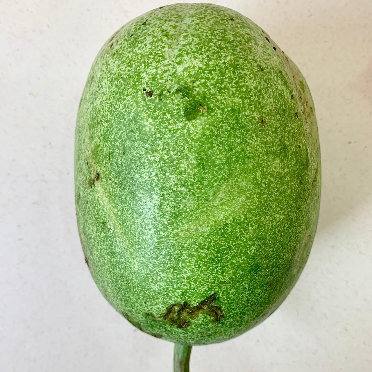 Organic White Pumpkin/ Ash Gourd