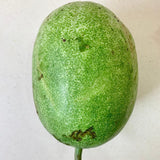 Organic White Pumpkin/ Ash Gourd