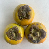 Organic Persimmon