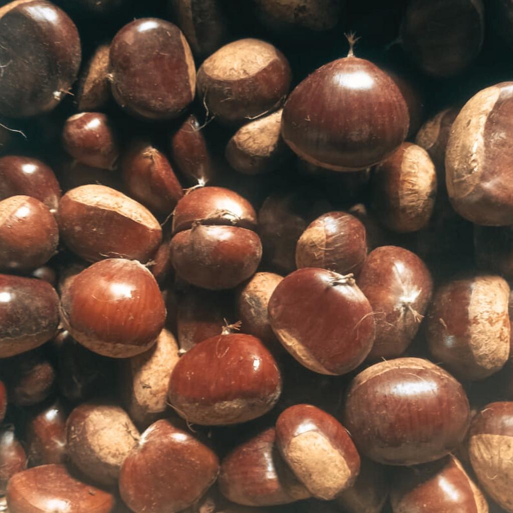 Himalayan Chestnuts: Know About & How To Cook?