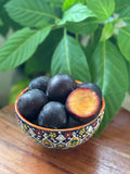 Spanish Plum - Imported