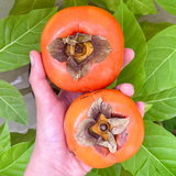 Organic Persimmon