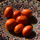 Organic Tomato Hybrid