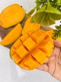 Organic Kesar Mango