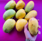 Organic Dasheri Mangoes