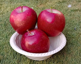 Red Delicious Apple 500gm - Imported