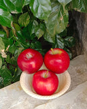 Red Delicious Apple 500gm - Imported