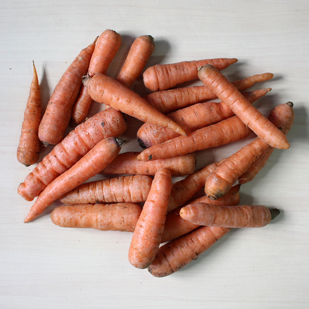 Organic Carrot Orange