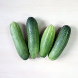 Organic Cucumber Green
