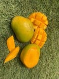 Organic Mango (Alphonso)