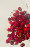 Organic Misri Cherries (indian)