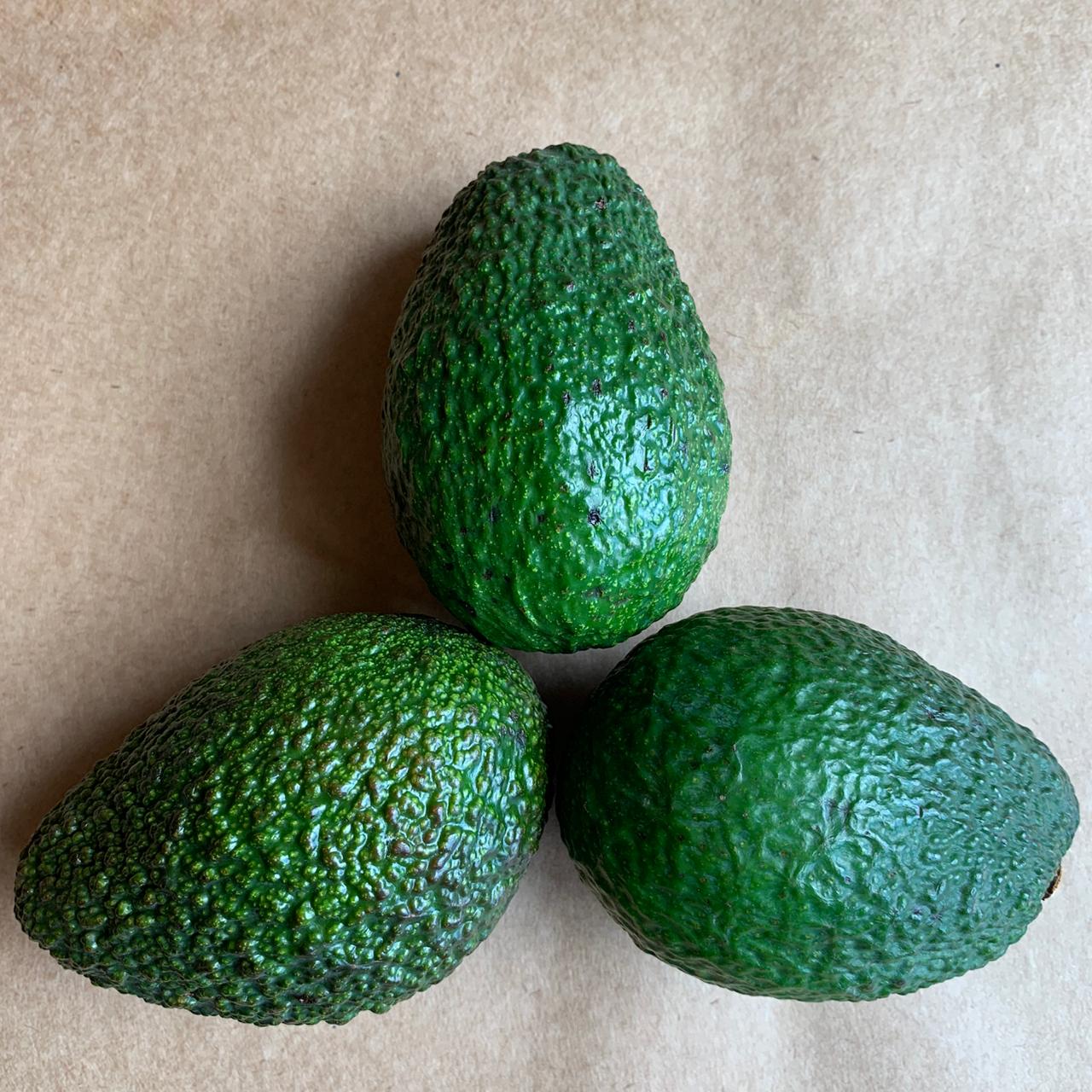 Organic Avocado/Avacado (Hass) (Imported)