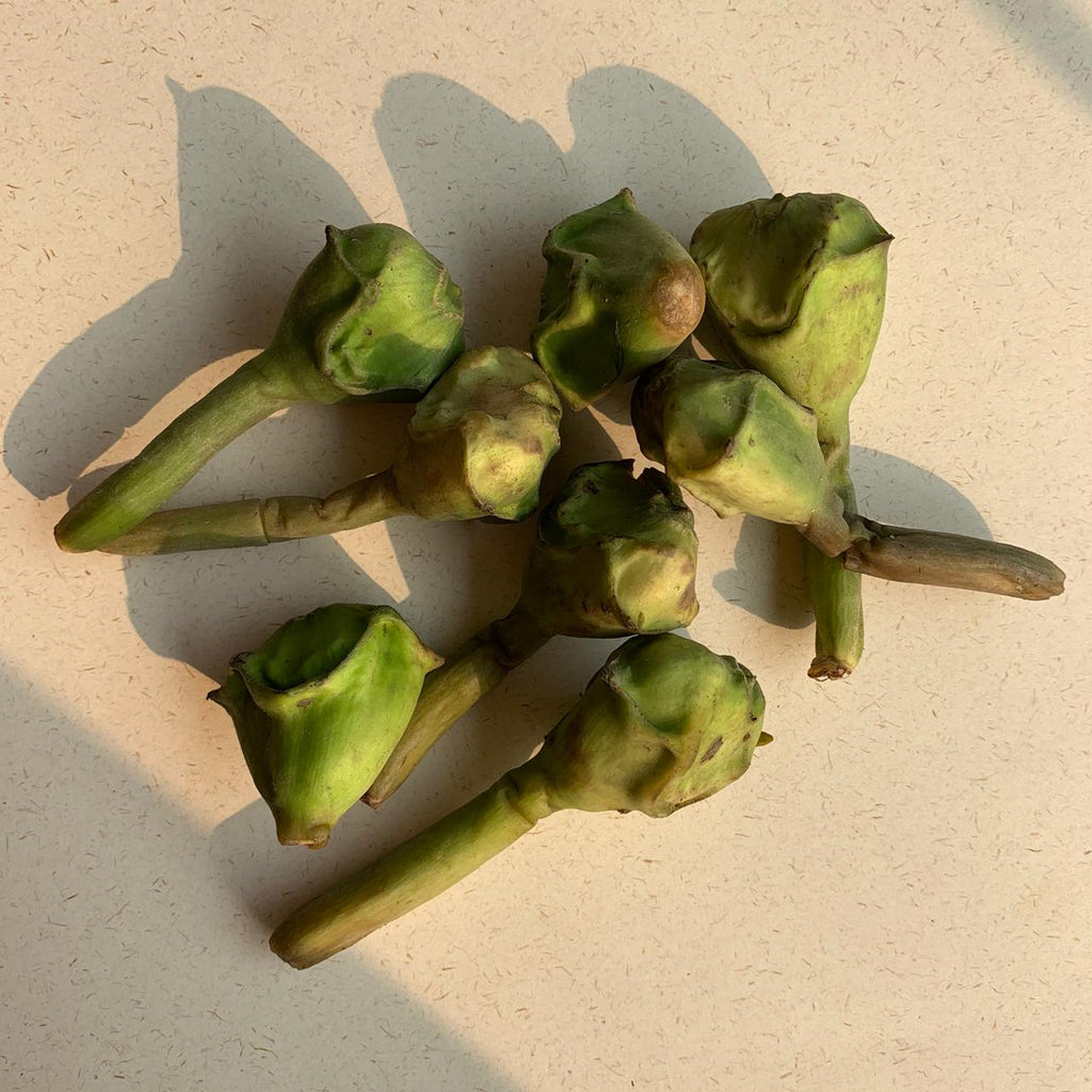 Organic Water Chestnut