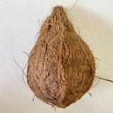 Organic Brown Coconut