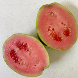 Organic Pink Guava