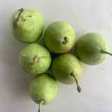 Organic Nakh Pear(Apple Pear)