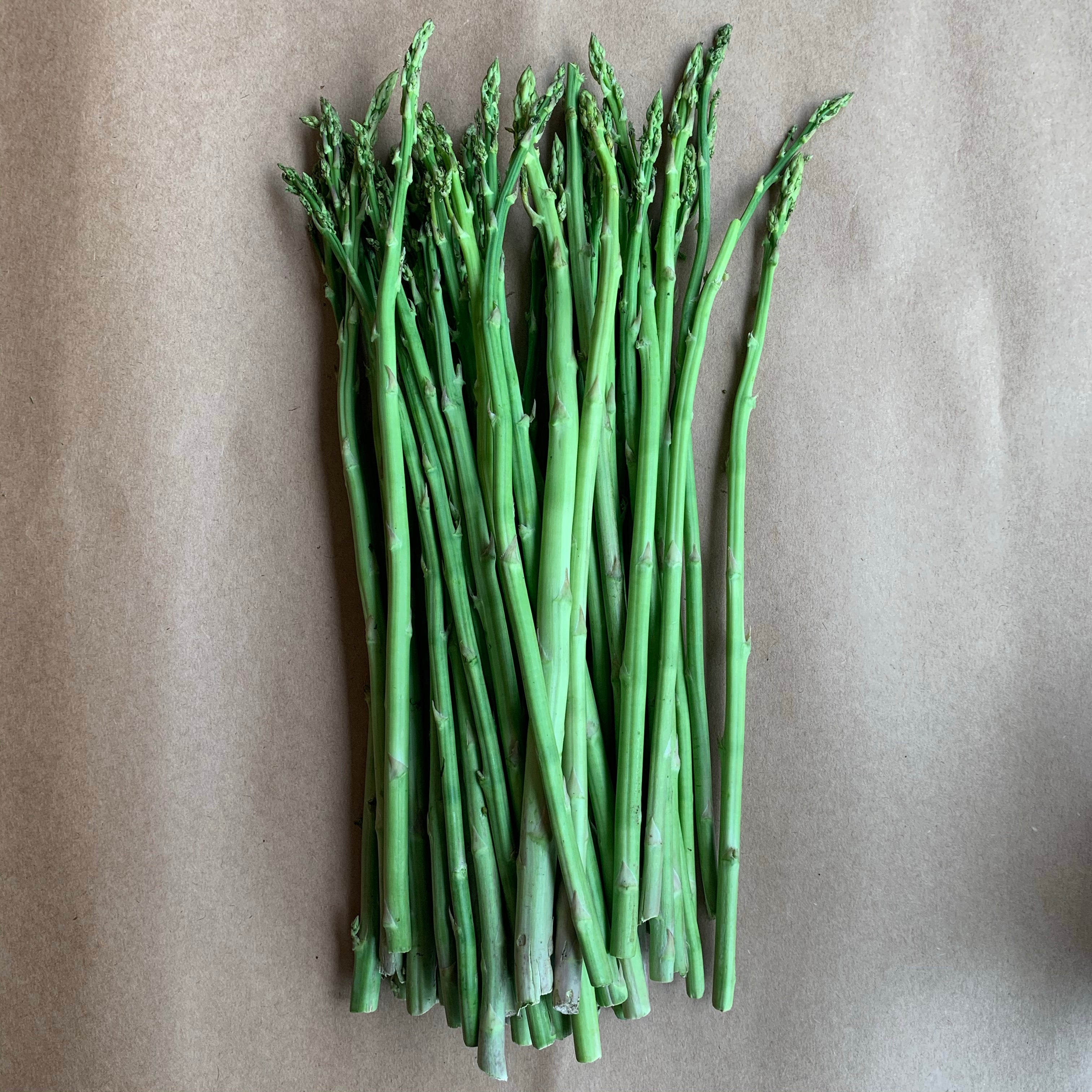 Organic Asparagus (Indian)