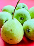 Organic Nakh Pear(Apple Pear)