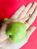 Organic Nakh Pear(Apple Pear)